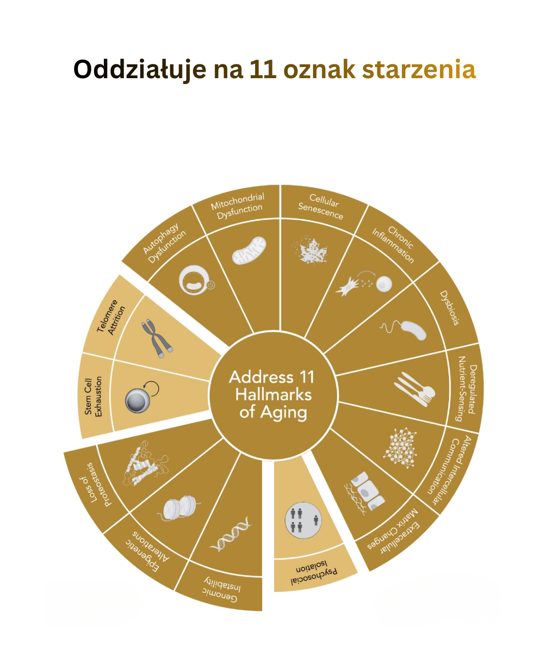 Odmładzająca maska Epigen9