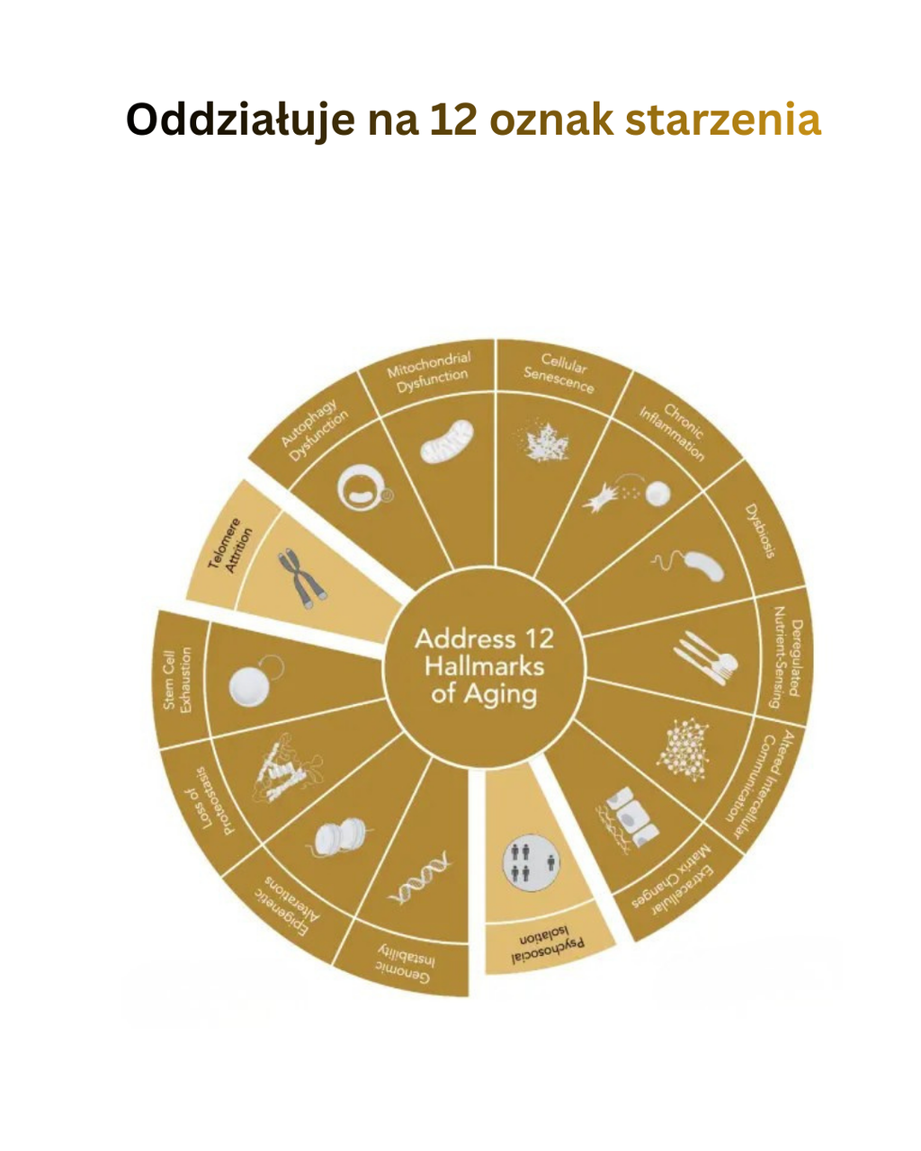 Epigen9 Serum Rewitalizujące