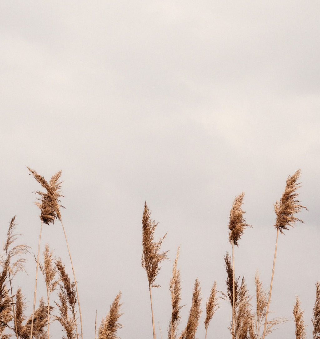 Nocna regeneracja dla kobiet